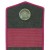 Командно-строевой сержантский состав. Полевые погоны.